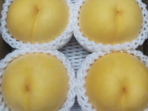 お届けは9月末～10月上旬【光月(お家用)～硬めの柿みたいな食感♪～】