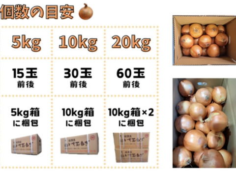 【訳あり】淡路島玉ねぎ！5キロ　1番人気