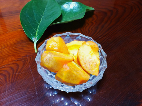 幻の柿「陽豊」（家庭用6.5kg）