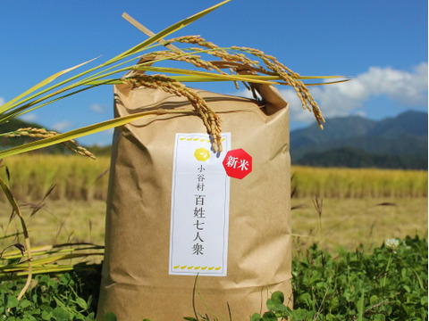 【新米】ゆめしなの  玄米3kg 〈令和5年産〉長野県の標高の高い地域で栽培されているお米