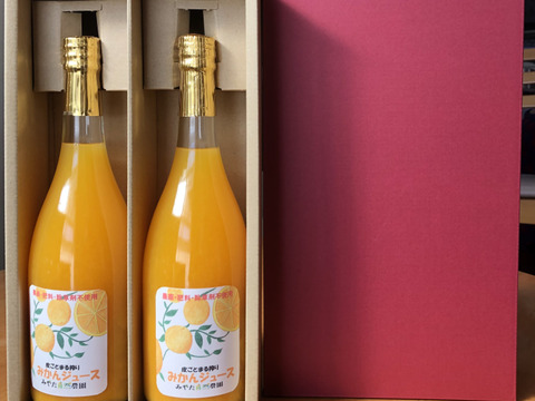 ごくあま•さわやか🍊皮ごとまる搾り、早生みかんジュース2本