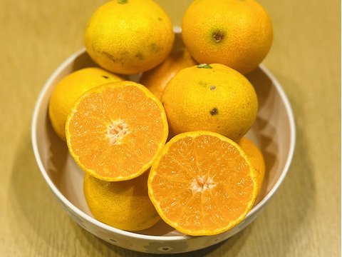 【訳あり】ご家庭用極甘みかん5kg