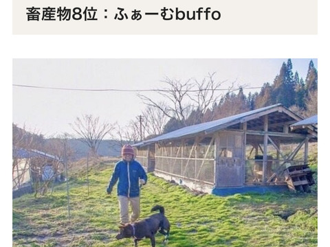 平飼い有精卵　40個　[すぐ発送]　輸入とうもろこし不使用　お陰様で2023食べチョクアワード畜産部門8位