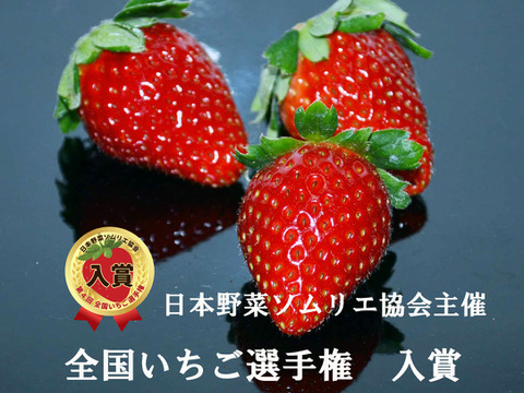 ４月発送　ジューシーな和歌山のオリジナルいちご　❝まりひめ❞　4パック