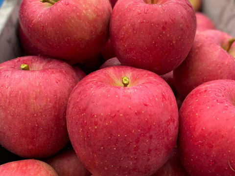 甘いトキと早生ふじ昂林　ときめき詰合せセット【りんご食べ比べ】　約3キロ　9個～12個
