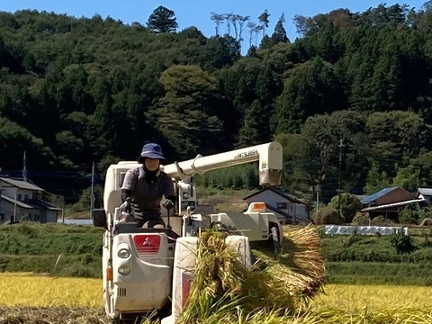 令和5年の新米(^^)清流育ちのおいしいコシヒカリ