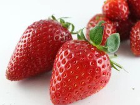 完熟朝採りいちご「東京おひさまベリー」(約１kg／１箱あたり) 東京生まれのニューブランド イチゴ 苺 ギフト スイーツ 果物 プレゼント 贈り物 お礼品 誕生日 祝い事／バレンタインデー、合格祝