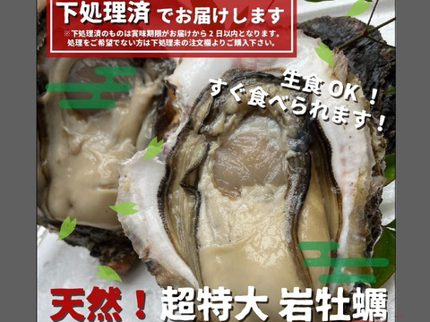 《日間賀島産》素潜り漁採取，天然岩牡蠣
超特大サイズ【下処理して発送致します‼︎※写真7枚目】濃厚な旨味、海のミルク、2Kg2.3個入