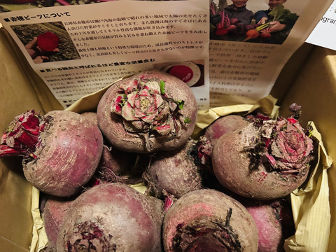 【2kg】畑のルビー‼️食べる輸血と話題の赤穂ビーツ