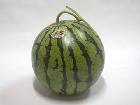 【父の日ギフト】熊本植木　大玉スイカ