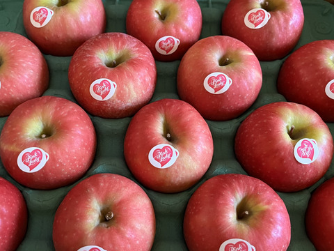 ⚠︎1月7日から発送🍎 ピンクレディ®︎3キロ箱  長野県 信州 安曇野 リンゴ 幻 幻のリンゴ 予約 希少 旬 6玉〜16玉サイズ 商品ID42100 ピンクレディー