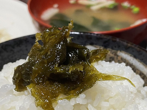 お料理好きな方に是非【2024新物】春あおさ＆佃煮チャレンジ セット