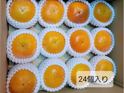 【贈答用】和歌山県産　富有柿〔2L〕24個入り