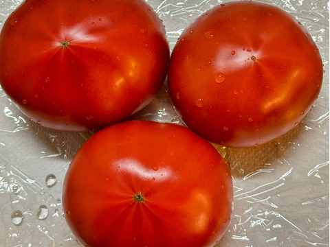 毎日トマト！栄ちゃんトマト（大きめサイズ）＆アイコのセット商品