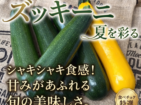 新鮮でみずみずしい】京都産ズッキーニ 1kgセット（緑・黄4〜6本 