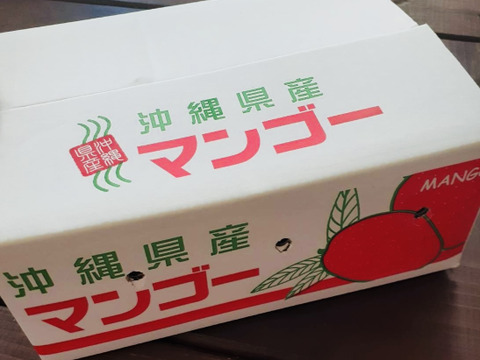 数量限定】家庭用 完熟マンゴー（約1.5Kg）沖縄県産：沖縄県産の