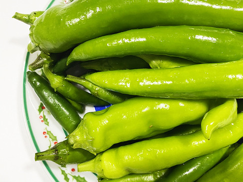 ぴり辛で最高にウマい！国産韓国唐辛子（総量800g）農薬・化学肥料不使用