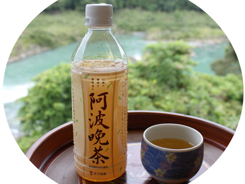 井川発酵の樽漬け発酵阿波晩茶100％500mlペットボトル