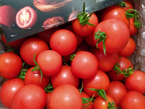 【朝どれ】本当に甘い！美健トマト®︎（1.0キロ）　※特別価格で販売中