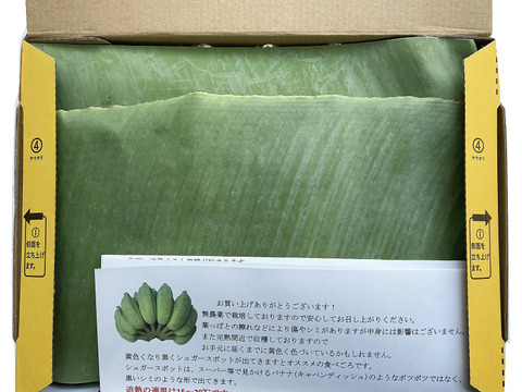 【特別価格！】ナムワバナナ１kg