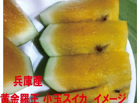兵庫産 黄金羅王　TVで大人気　小玉スイカ1玉　ご家庭用②