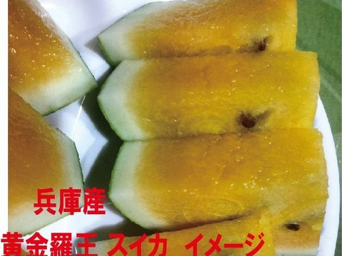 兵庫産 訳あり 黄金羅皇　TVで大人気　中玉スイカ1玉　ご家庭用④