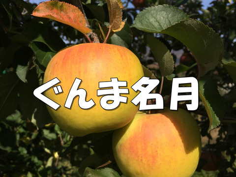 超小玉❗️甘～いりんご✨ぐんま名月 5kg箱 25～28個入り 信州りんご