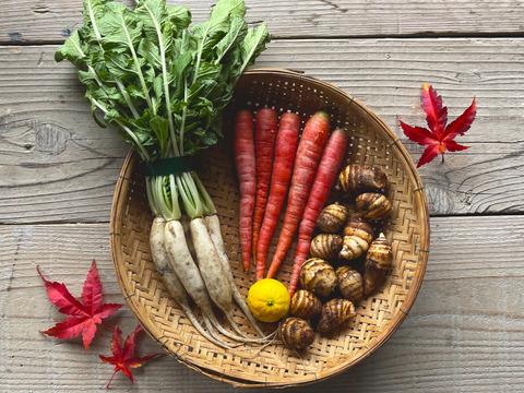 有機JASのお雑煮5種セット❗️【雑煮大根・金時人参・小えび芋・辛味大根・花柚子】お正月をオーガニック野菜で始めよう‼️［発送日12/26、27 限定：到着は遠方以外は翌日］