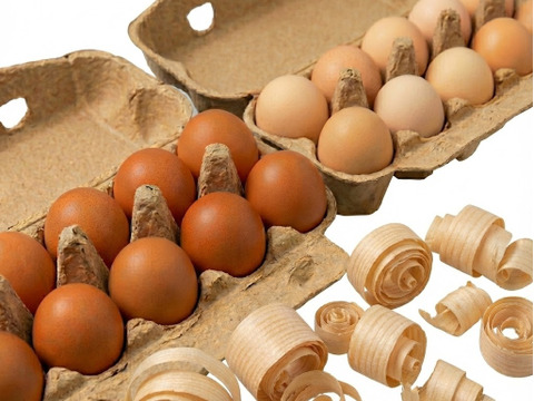 【食べ比べ】希少な烏骨鶏＆濃厚黒どりネラ 16個＋破卵保証4個（計20個）