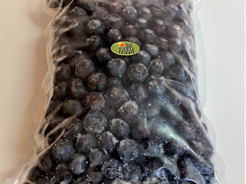 【完熟した実を選りすぐり】冷凍ブルーベリー 1kg【CO2削減に貢献する農法】