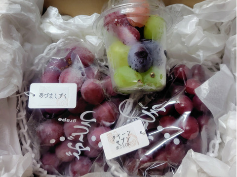【福袋2025】彩りセット　ぶどう2品種＋粒カップアソート入り