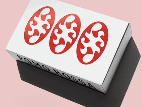 【大人気ギフト♪】極甘高糖度フルーツトマト「ポモロッサ」（15粒入り）