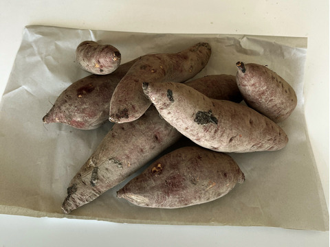 【再販準備中】甘～いさつまいも　紅はるか🍠　約５㎏（※梱包重量）