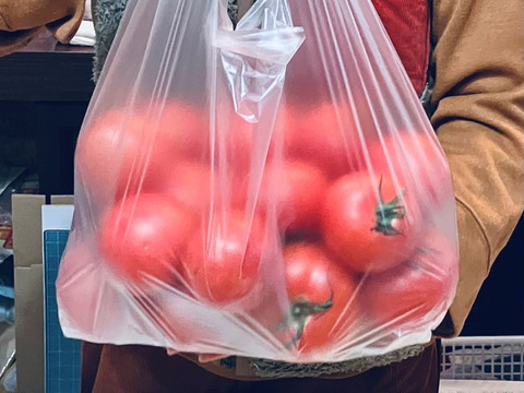 【旨トマト3kg】お買い得☆ジューシーで旨味あるトマト！サラダや冷製トマトパスタに！