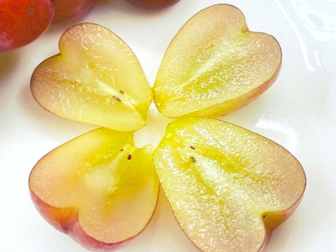 岡山県産朝採り甘くて果汁たっぷり！！
次世代品種【ﾏｲﾊｰﾄ】家庭用約1㎏以上（2房〜3房）
【予約販売】2026年8月から販売予定！！
天候により月日が前後する場合が御座います。