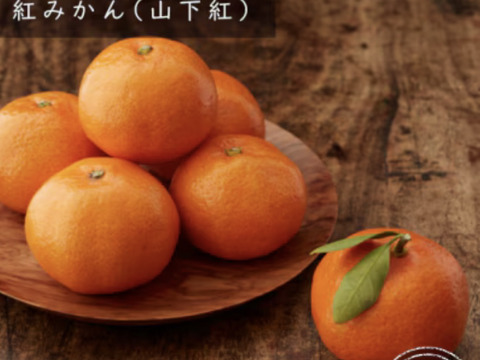 【希少】紅色🍊 定番Mサイズ3キロ箱　有田みかん