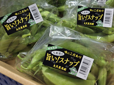 【岐阜県産】シャキッと甘い！スナップえんどう200g×5袋