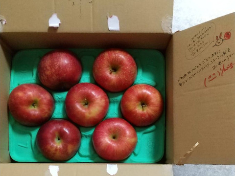 【訳あり】【旬りんご2種詰合せセット】（2kg・6～9個入り）パリパリ・ジューシー超お得な家庭用