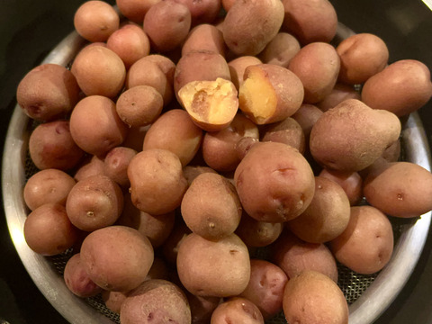 【値下げ】ちびちびサイズ！「アンデスレッド」 2キロ箱【規格外】