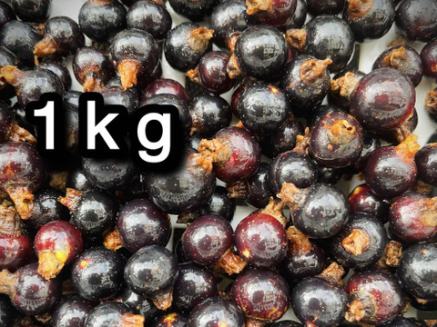 【ジャムづくりに】冷凍カシス•1kg（古代種ボールドウィン）※まとめ買い対応
