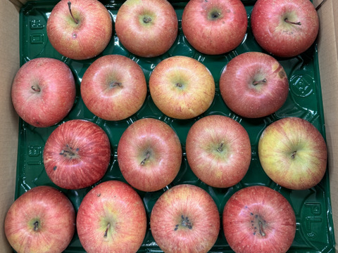 【大玉🍎】葉とらずサンふじ🍎訳あり５Kg　青森県産