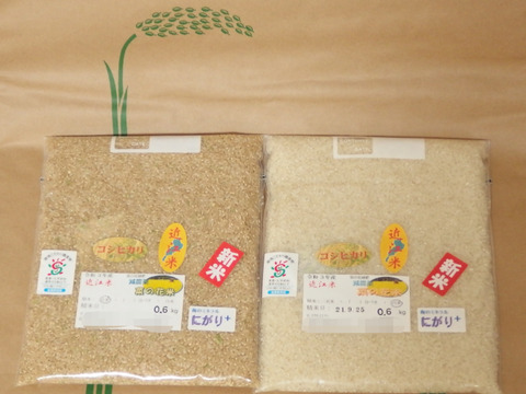 【選べる分づきMy】✤菜の花✤育ち！近江米コシヒカリ  ☆減農薬菜の花米☆令和3年産☆1.2kg☆コンビ