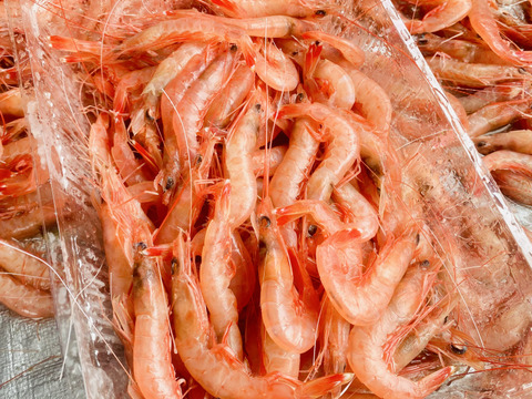 【さらに大容量】【料理の救世主】トロけるような食感と美味！珊瑚色をしたトロえび中小３.2kg(800g✖️4pc）