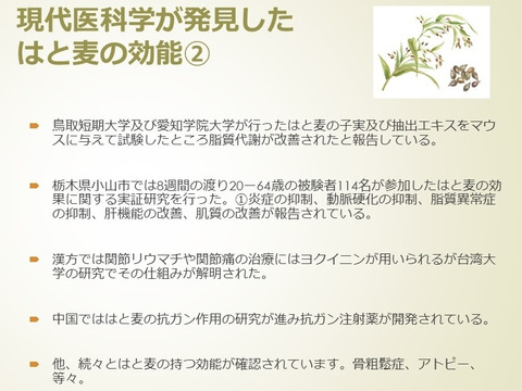 自然栽培はと麦粗挽き全粒粉