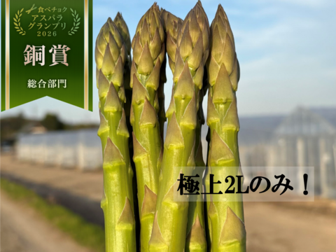 【受賞記念&登録記念SELE🎊】那須塩原産アスパラガス｜2Lのみ｜朝採れ｜1.0kg｜じゅわっと春のごちそう