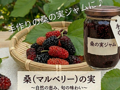 桑の実☆冷凍☆農薬等不使用☆自然栽培☆30個入り☆マルベリーの実☆スーパーフードマルベリー☆ヤマト連携冷凍便でお届け※数に限りがございますのでお一人様１袋分のみのご注文となります※桑の葉は含まれません