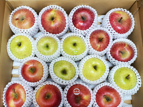 農薬5割減・化学肥料不使用の特別栽培りんご🍎🍏おまかせりんご3種食べ比べ5kg🍎🍏 訳ありご家庭用 りんご詰合せ 化学肥料不使用 青森県特別栽培認証 皮ごとおいしい🍴