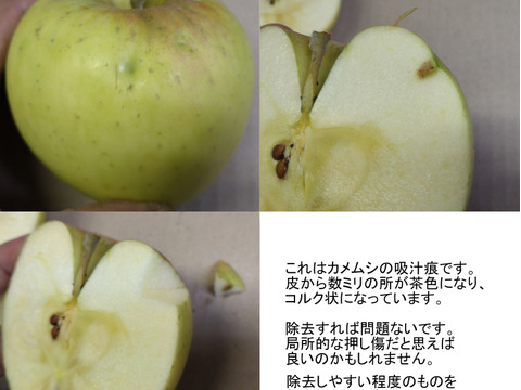 ★ぐんま名月★１１ｋｇ★訳あり★傷・虫害含む★バラ詰め★青森県産★農家直送★