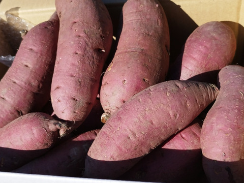 🌟朝ドラで話題の糸島野菜🌟栽培期間中、農薬・化学肥料・除草剤不使用❕1ヶ月熟成してからお届け❕ねっとり甘～い紅はるか（３キロ）※熨斗対応有※