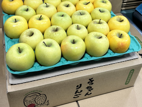 【小玉】シナノゴールド💛約4.5Kg🍏青森県産　数量限定